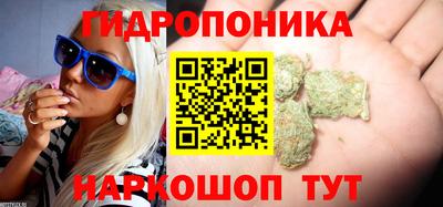 ешки Будённовск