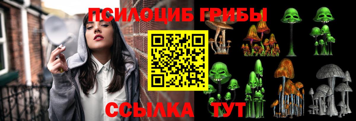 Галлюциногенные грибы Psilocybine cubensis  Вход с VPN  Татарск 